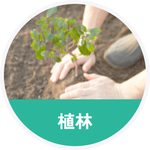 植林